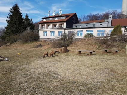 Berggasthof Zum Steira Schotten Εξωτερικό φωτογραφία
